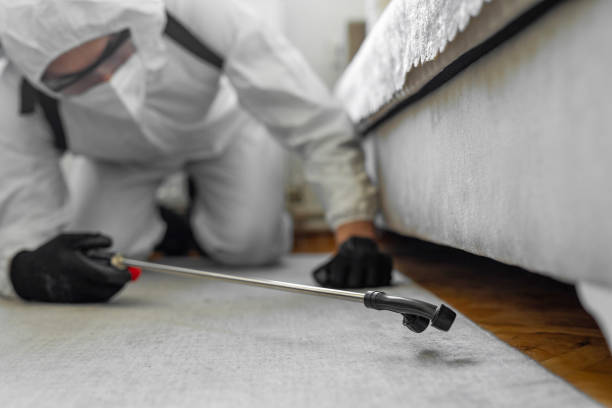Professional Bed Bug Control technician working in Bryant, WA